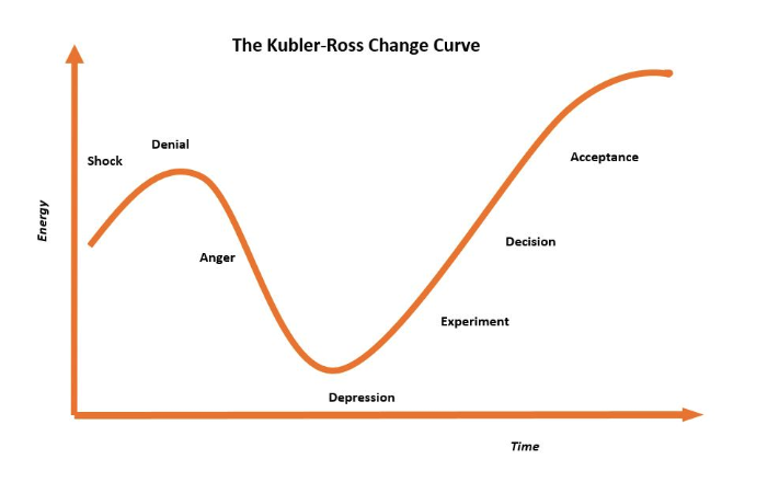 The Curve Behind the Can: Unpacking Gracyanne Barbosa’s Impact on Music and Visibility